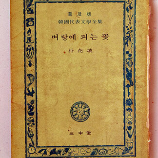 박화성 작품 11