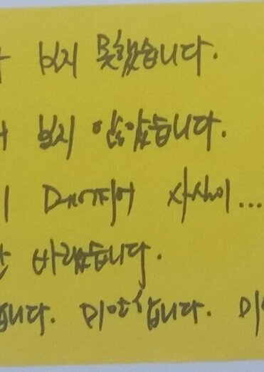 세월호 희생자 추모의 글 - 차마 보지 못했습니다. 일부러 보지 않았습니다. 가슴이 메어지어 사실이.. 현실이 아니기만 바랬습니다. 미안합니다. 미안합니다. 미안합니다.