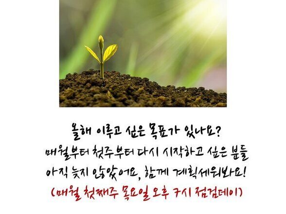 3월 상반기 점검 프로그램